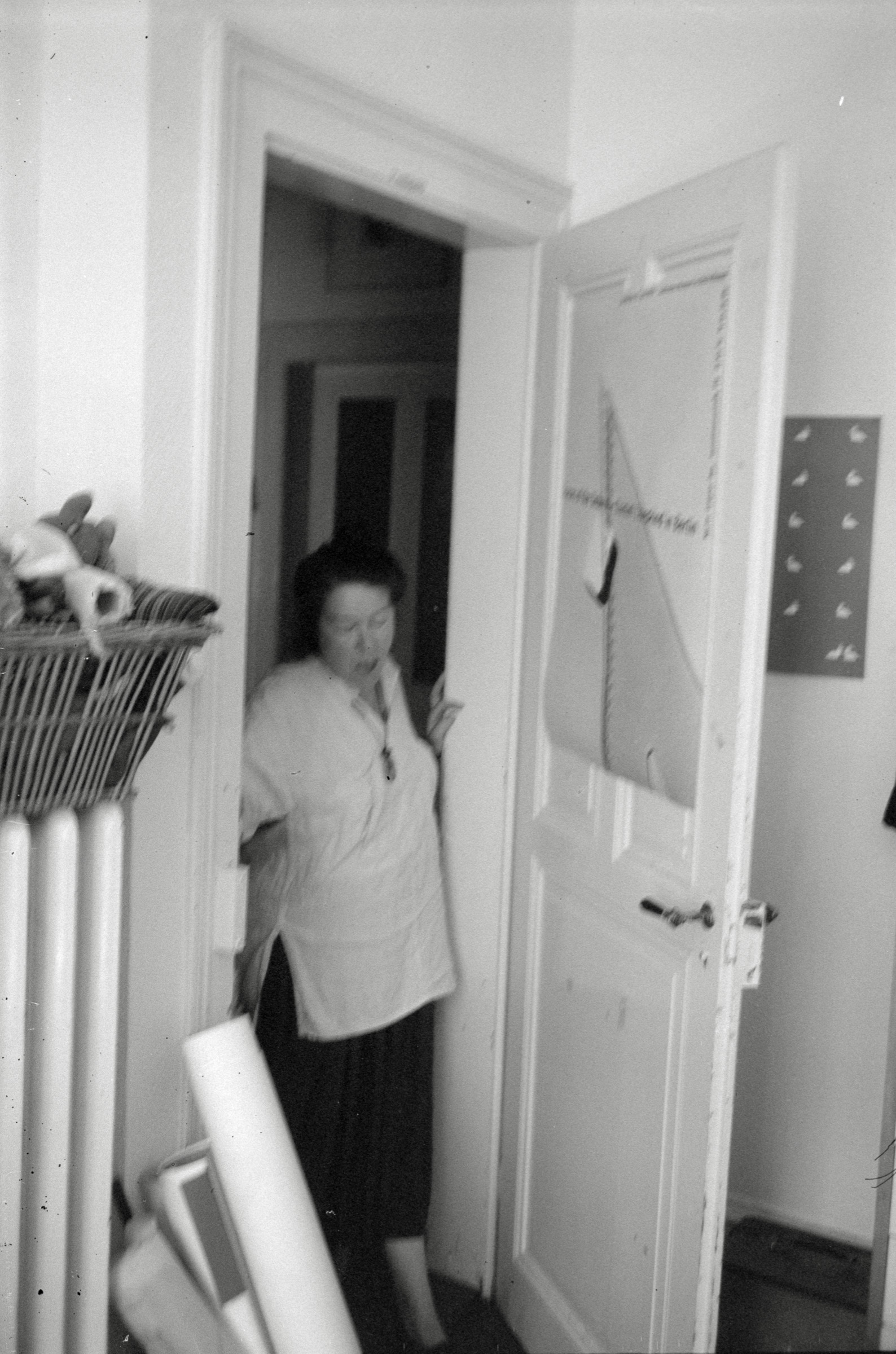 AHP F1994 06 003 sc240829 img10 NLP